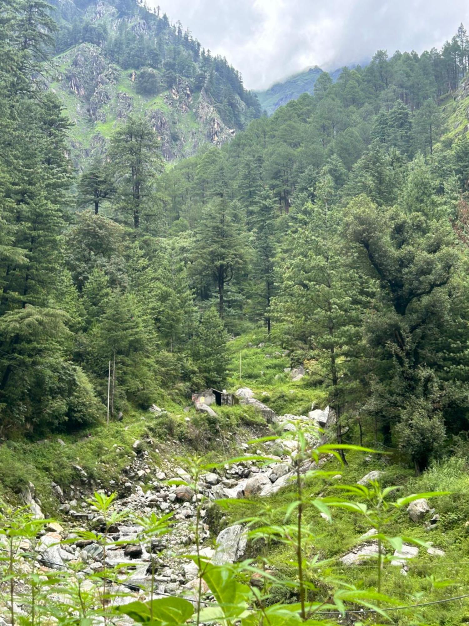 Formosa Hostel & Cafe Kasol Eksteriør billede